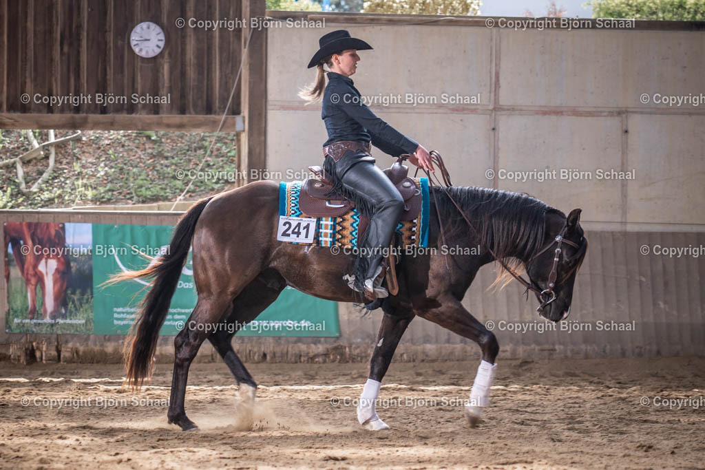 AQB08568 | BS-foto