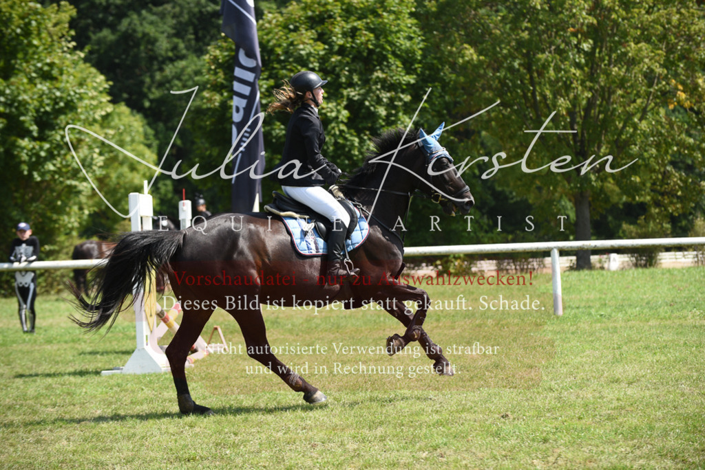 DSC_0053 | Pferde- und Turnierfotografie in Westsachsen. Pferdeportraits, Auftragszeichnungen und intuitive Kunst.