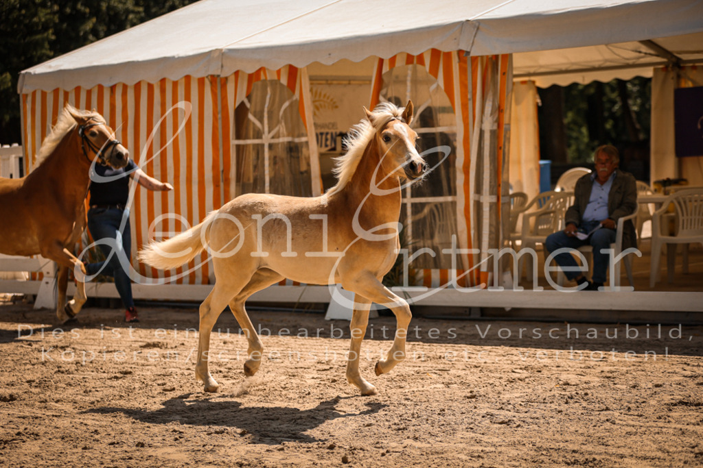 06.DoH00038 | Leoni Ertmer Photography - Realisiert mit Pictrs.com