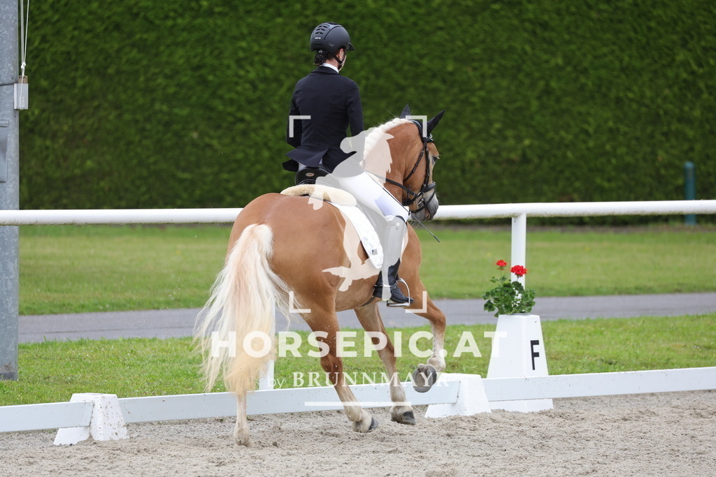 0P6A4399 | Willkommen bei Brunnmayr - Design & Fotografie – Ihrem Spezialisten für Reitturniere und Pferdeveranstaltungen in Oberösterreich, Salzburg und Bayern! Seit über 17 Jahren sind wir leidenschaftlich dabei.
