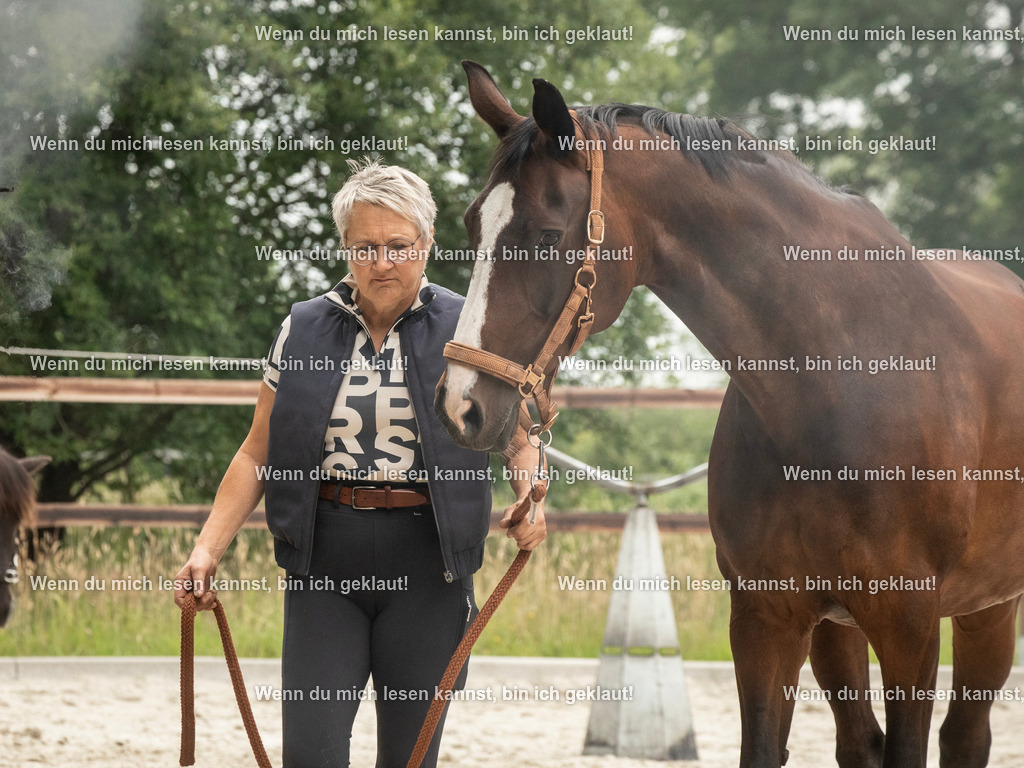 598A6381 | photographylinaismer - Realisiert mit Pictrs.com