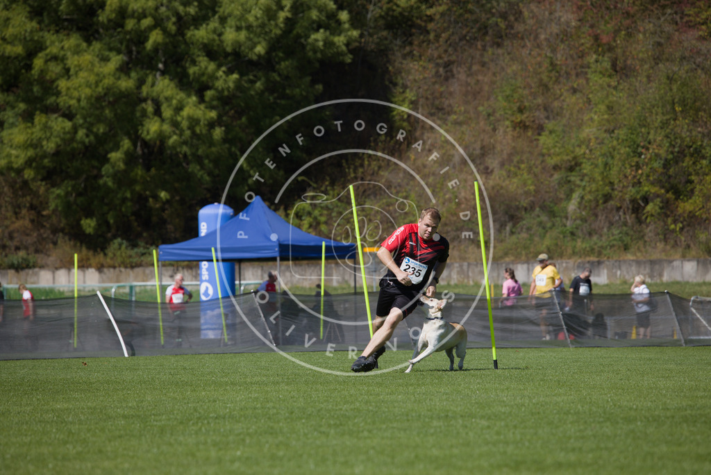 0L8A6100 | Hundefotografie, Tierfotograf, Pfotenfotografie, Fotoshooting Hund, Hunde Portrait, Hundesport, Hundeportraits, Heideshooting, Hunde, Sportfotograf, Hundefotograf, Turnierhundsport, THS,  - Realisiert mit Pictrs.com