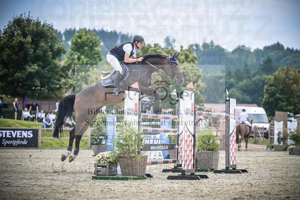 DOS_2196 | Entdecke hochwertige Reitturnierfotos von Foto Oger. Professionell, emotional und authentisch – jetzt Lieblingsmomente im Shop bestellen.Deutschlandweite Turnierfotografie. - Realisiert mit Pictrs.com