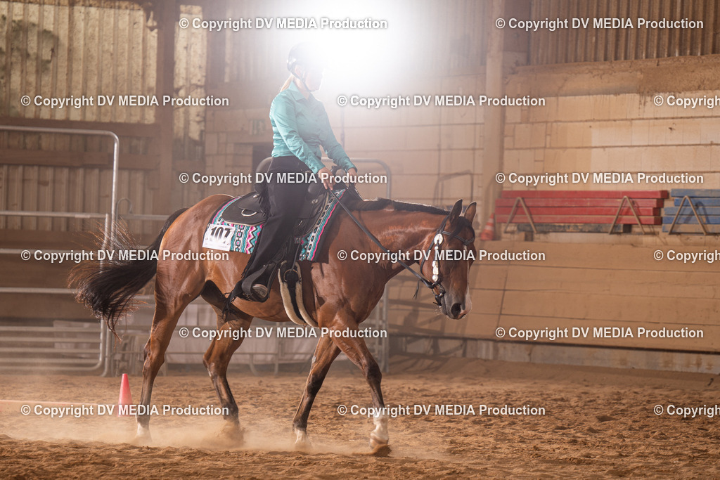 NID00770 | dv-media-shop - Realisiert mit Pictrs.com