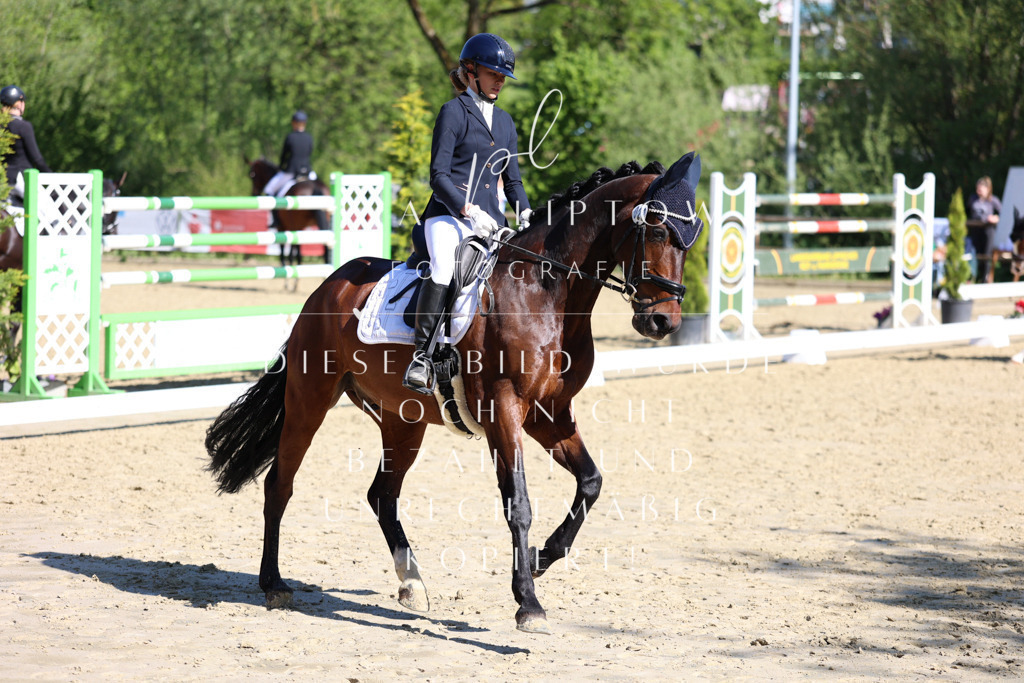 IMGT0135 | pl-fotografie