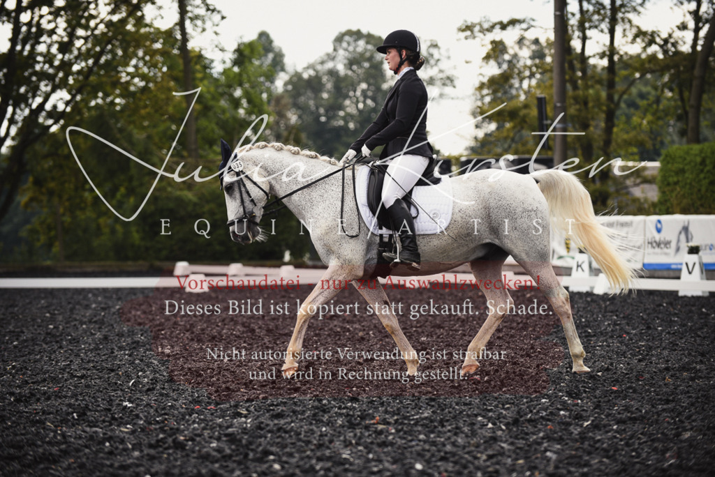 DSC_3958 | Pferde- und Turnierfotografie in Westsachsen. Pferdeportraits, Auftragszeichnungen und intuitive Kunst.