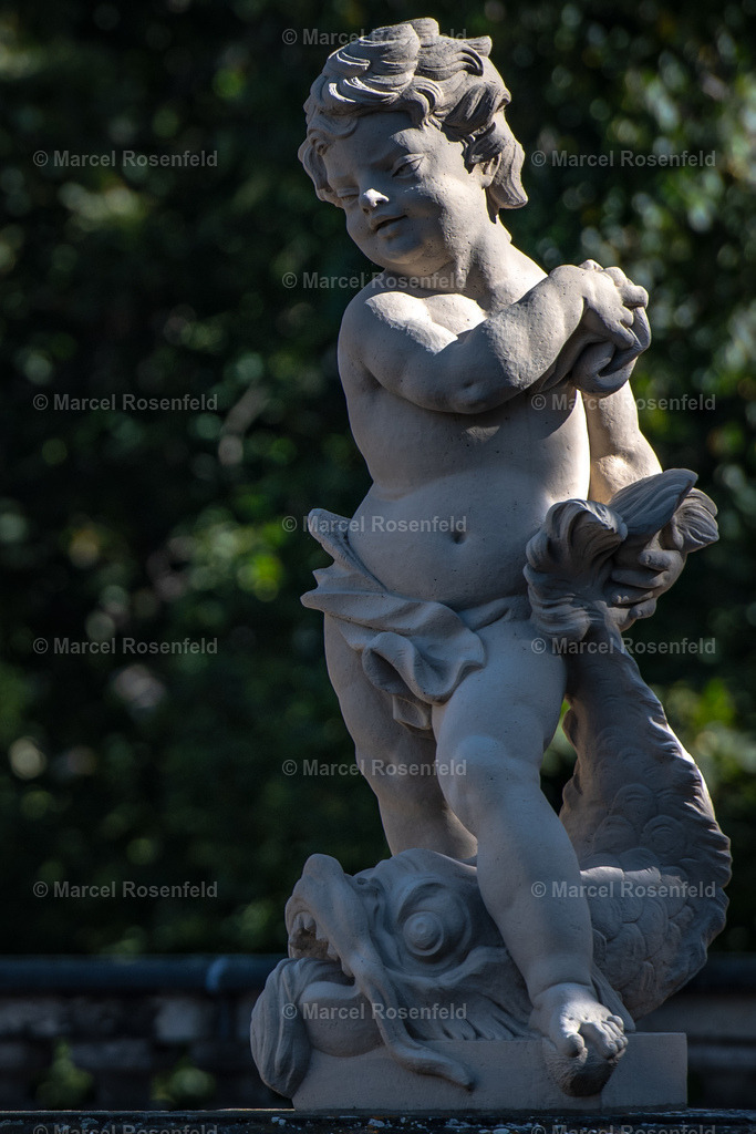 _DSC1633 | foto-rosenfeld