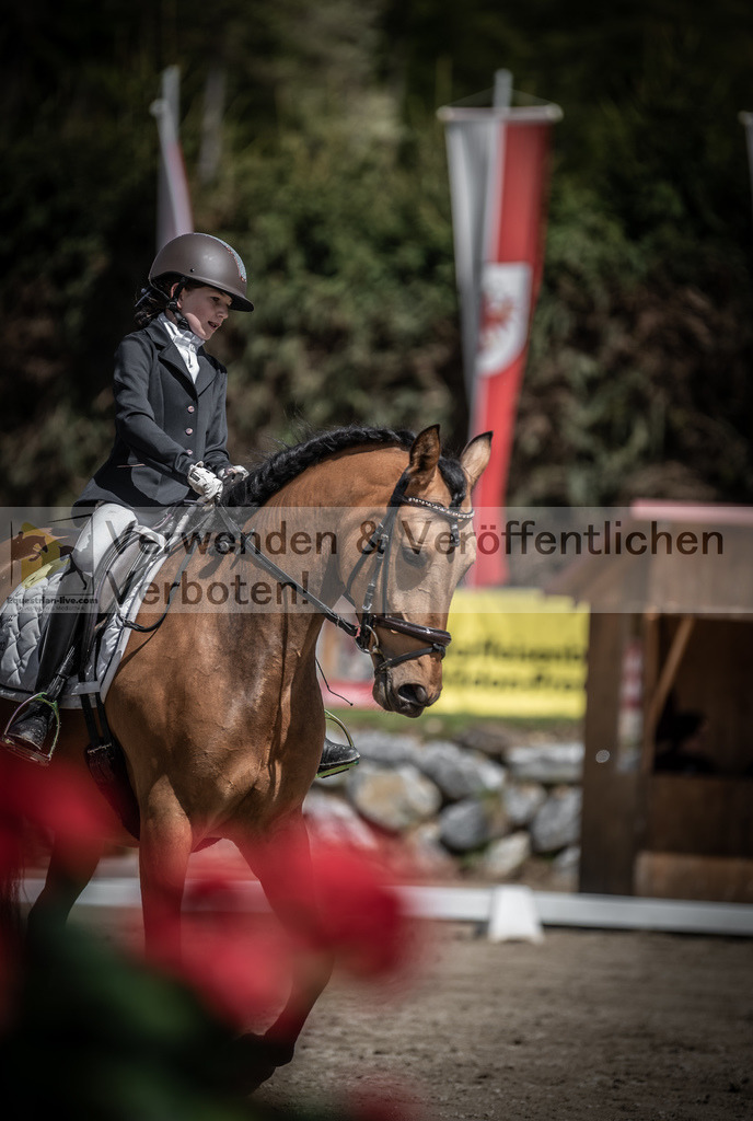 DSC_0836 | equestrian-live-com
