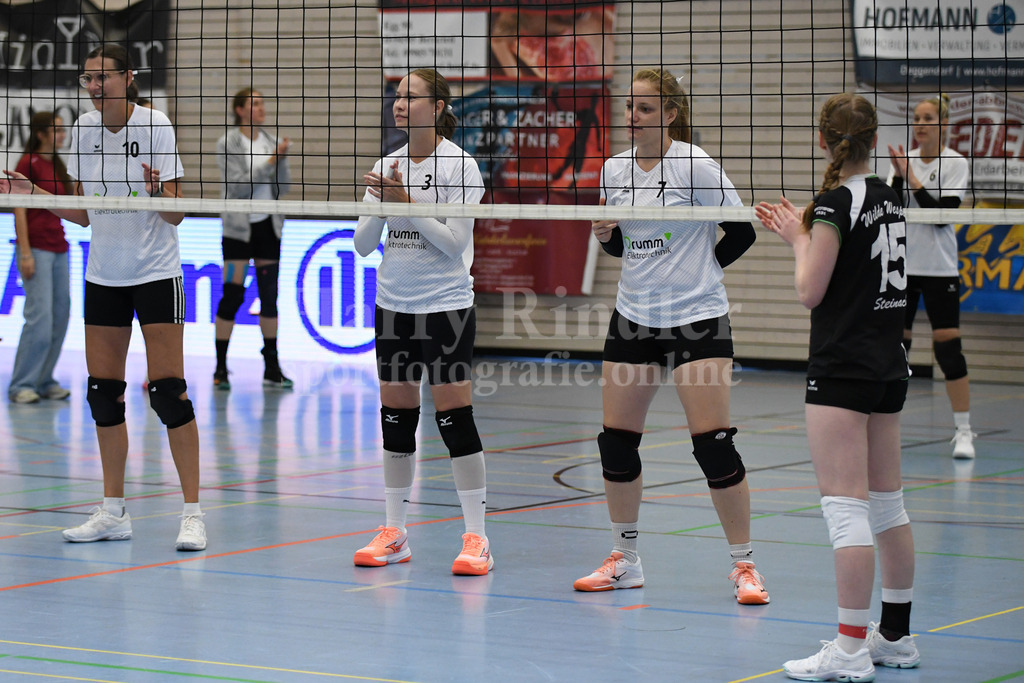 TSV Deggendorf Damen : Wilde Wespen Steinach | TSV Deggendorf Damen : Wilde Wespen Steinach - Realisiert mit Pictrs.com
