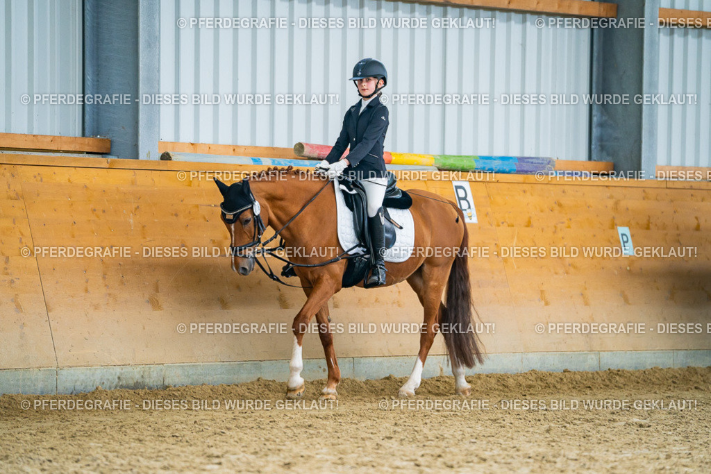 DSC01265 | Pferdegrafie