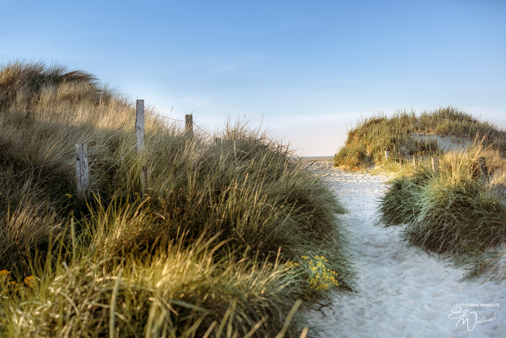 20240508-194203 NORDSEE SPO _315-1 | Herzlich willkommen auf meiner Seite! Ich bin Elke Wallnisch, Deine Fotografin für lichtstarke Momente. Der Name steht für alles, was mich mit der Fotografie verbindet: Das Licht und seine machtvolle Wirkung auf eine Situation oder unsere Stimmung - Realisiert mit Pictrs.com
