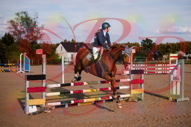 2026_10_03_Siefer-Hof_171151_Z81_08567995 | Professionelle Reitsport-, Turnier- und Eventfotografie von Robert Broda. Galerien mit ausgewählten und bearbeiteten Bildern direkt online ansehen und bestellen.