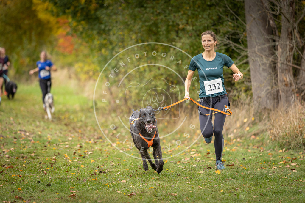 Pfotenfotografie_DV3A4727 | Hundefotografie, Tierfotograf, Pfotenfotografie, Fotoshooting Hund, Hunde Portrait, Hundesport, Hundeportraits, Heideshooting, Hunde, Sportfotograf, Hundefotograf, Turnierhundsport, THS,  - Realisiert mit Pictrs.com