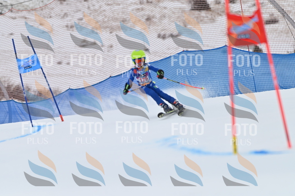 BGV_0831 | holidayphoto