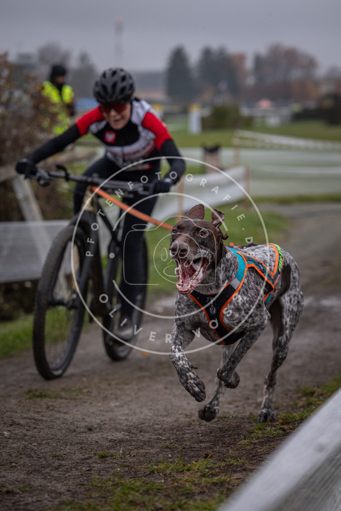CaniXpix_0L8A1223 | Hundefotografie, Tierfotograf, Pfotenfotografie, Fotoshooting Hund, Hunde Portrait, Hundesport, Hundeportraits, Heideshooting, Hunde, Sportfotograf, Hundefotograf, Turnierhundsport, THS,  - Realisiert mit Pictrs.com