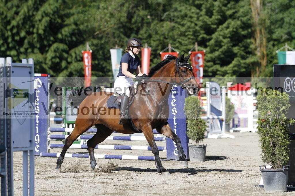 _MG_2487 | equestrian-live-com