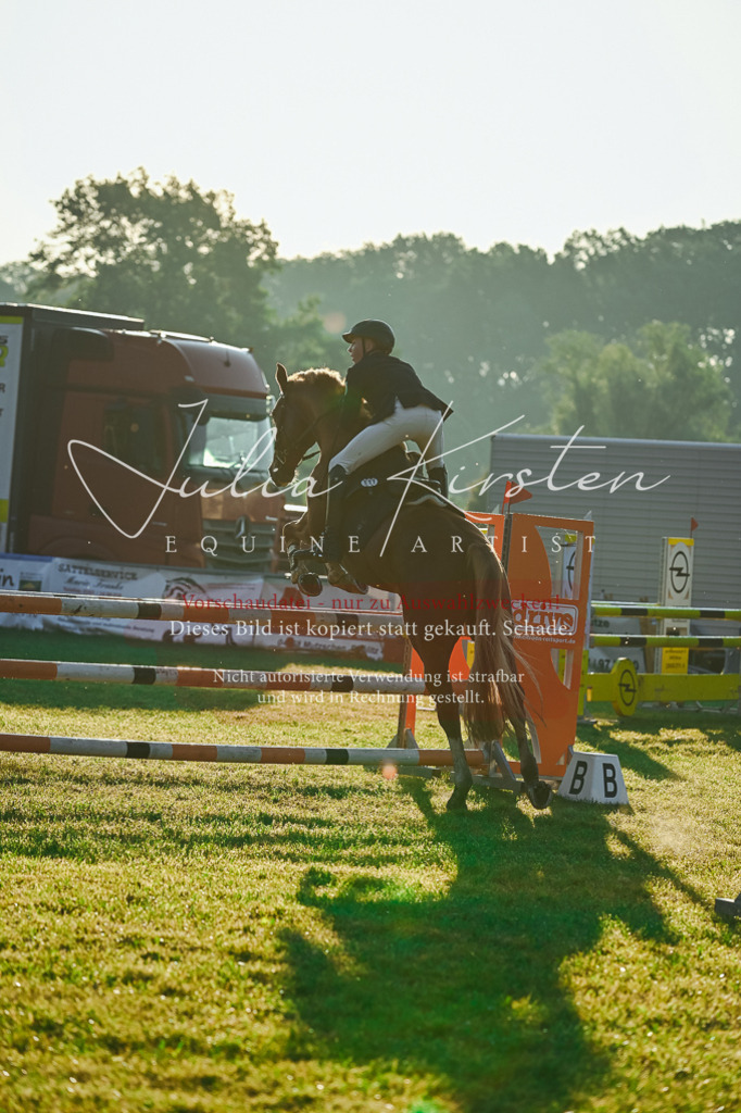 DSC_3762 | Pferde- und Turnierfotografie in Westsachsen. Pferdeportraits, Auftragszeichnungen und intuitive Kunst.