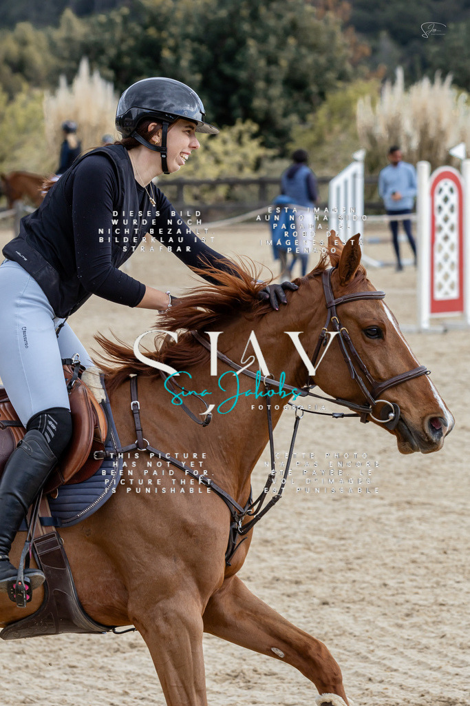 IMG_4625 | s-jay-photography - Realisiert mit Pictrs.com