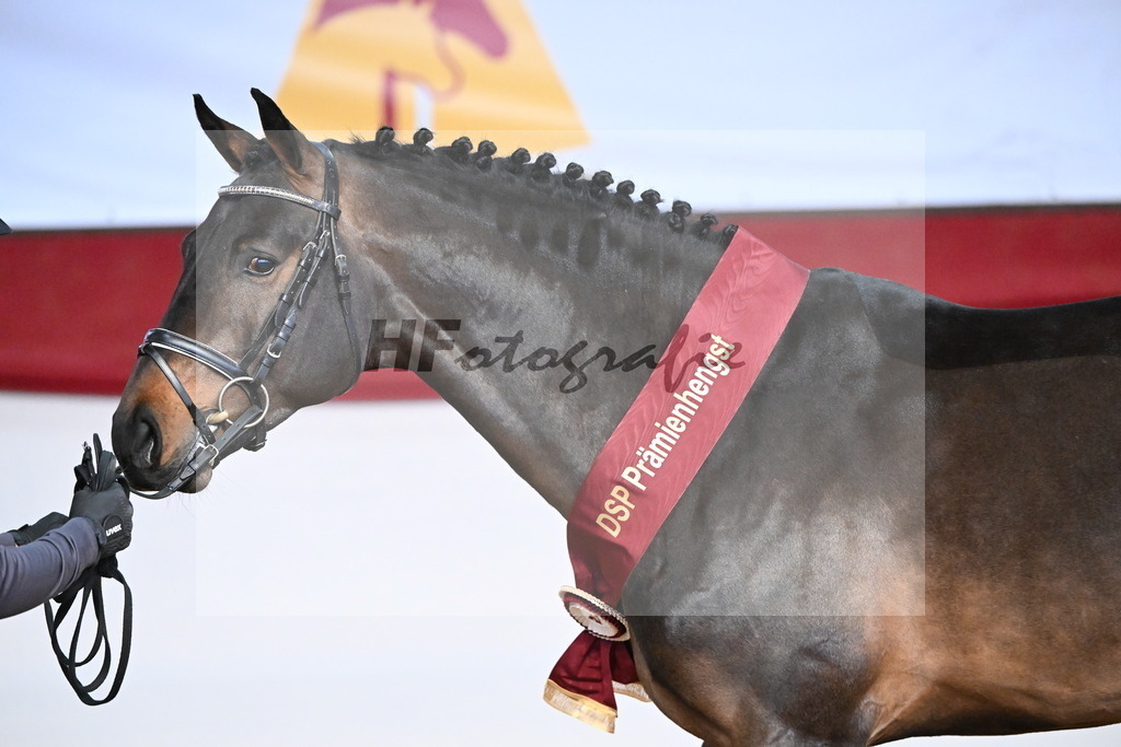 Comme_Carvelle_3265035 | hf-fotografie - Realisiert mit Pictrs.com