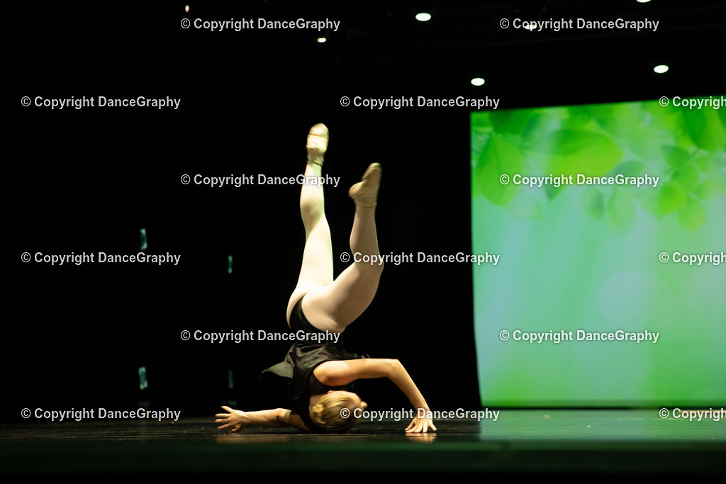 GPHY5752 | DanceGraphy - Realisiert mit Pictrs.com