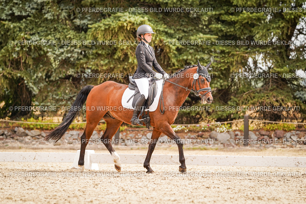 DSC01991 | Pferdegrafie