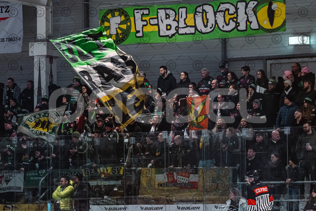 Alligators_vs_Erding_01_02_2026-10 | Höchstadt Alligators Fotogalerie: Eishockey-Action aus Franken. Professionelle Spielfotos, Portraits & Stadionbilder zum Download. Jetzt entdecken! - Realisiert mit Pictrs.com