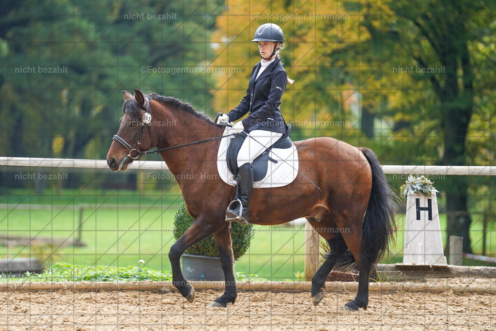 20221008-FAH01181 | Diessen am Ammersee, 2022, Dressur- und Springturnier, Reitsportbilder, Turnierfotografen Bayern, Pferdefotografen, Fotoagentur Herrmann, Turnierbilder