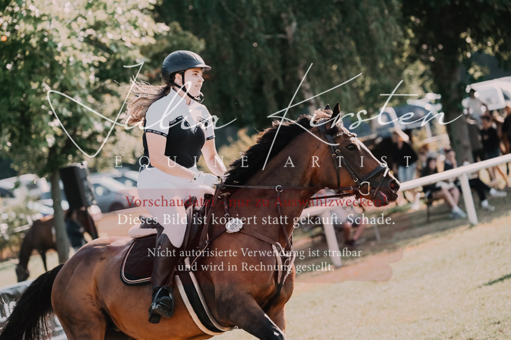 DSC_4598 | Pferde- und Turnierfotografie in Westsachsen. Pferdeportraits, Auftragszeichnungen und intuitive Kunst.
