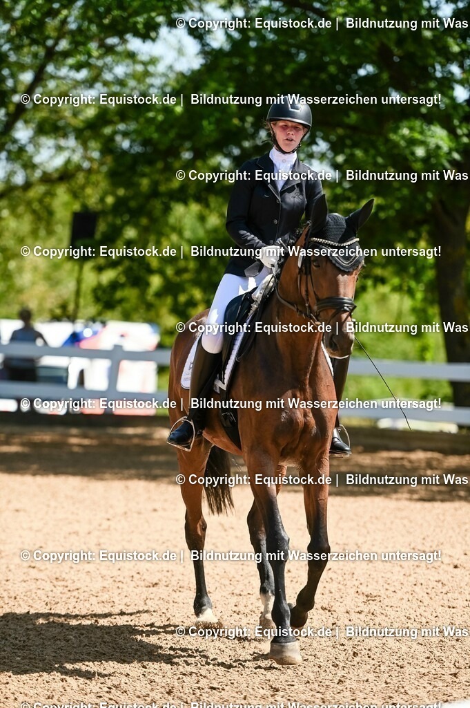 20230715_02_Dressurreiterprüfung Kl.L_0101 | equistock