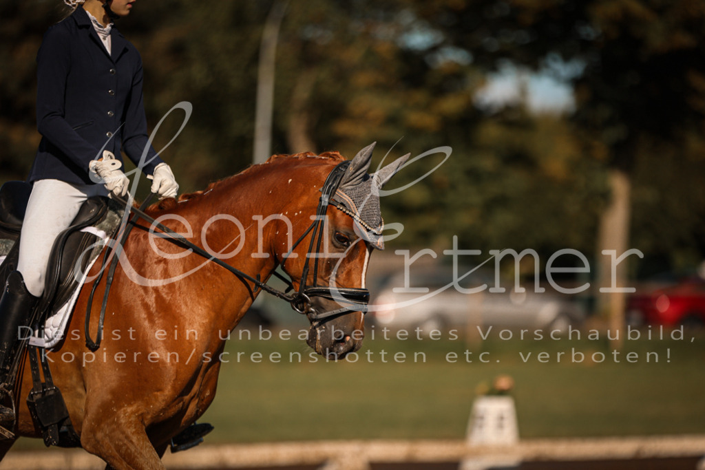 13.SoDrA100361 | Leoni Ertmer Photography - Realisiert mit Pictrs.com