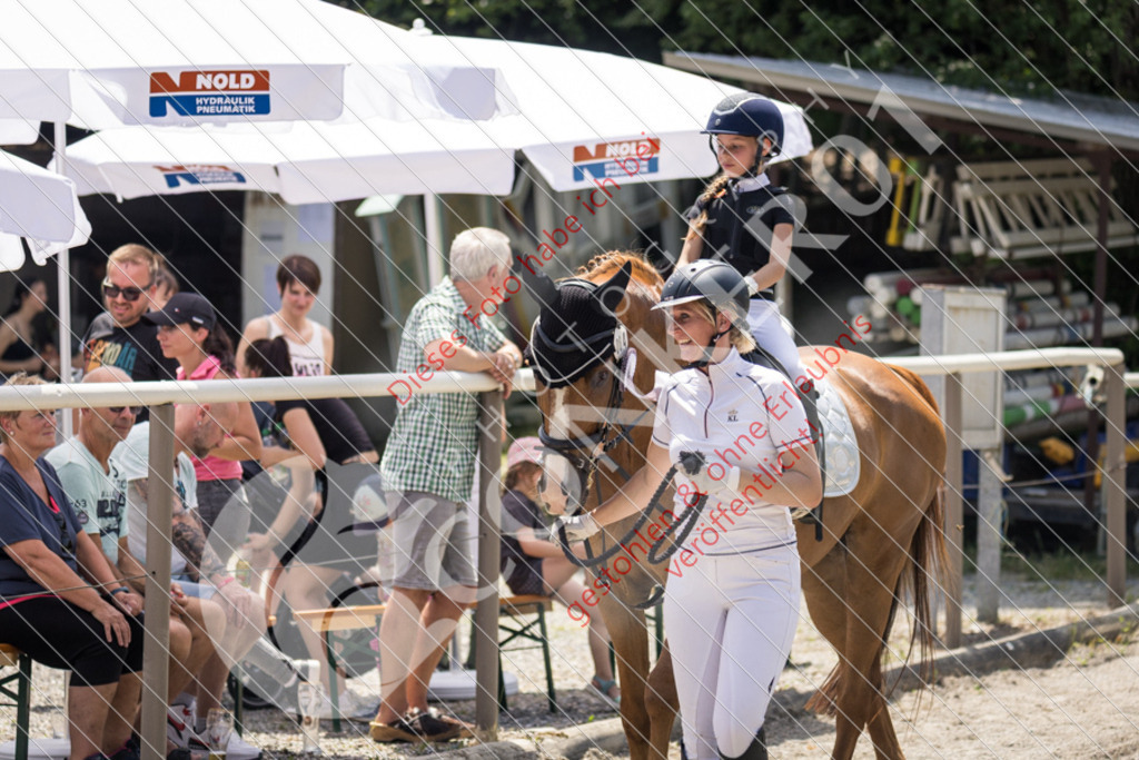 IMG_3645 | Sport-, Event- und Tierfotos in Profiqualität. Einfach auswählen, bestellen und herunterladen. Dein Moment – perfekt festgehalten.
