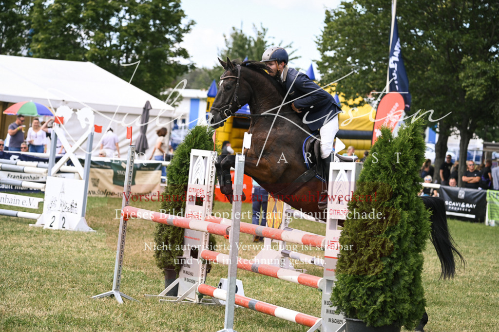 DSC_0632 | Pferde- und Turnierfotografie in Westsachsen. Pferdeportraits, Auftragszeichnungen und intuitive Kunst.