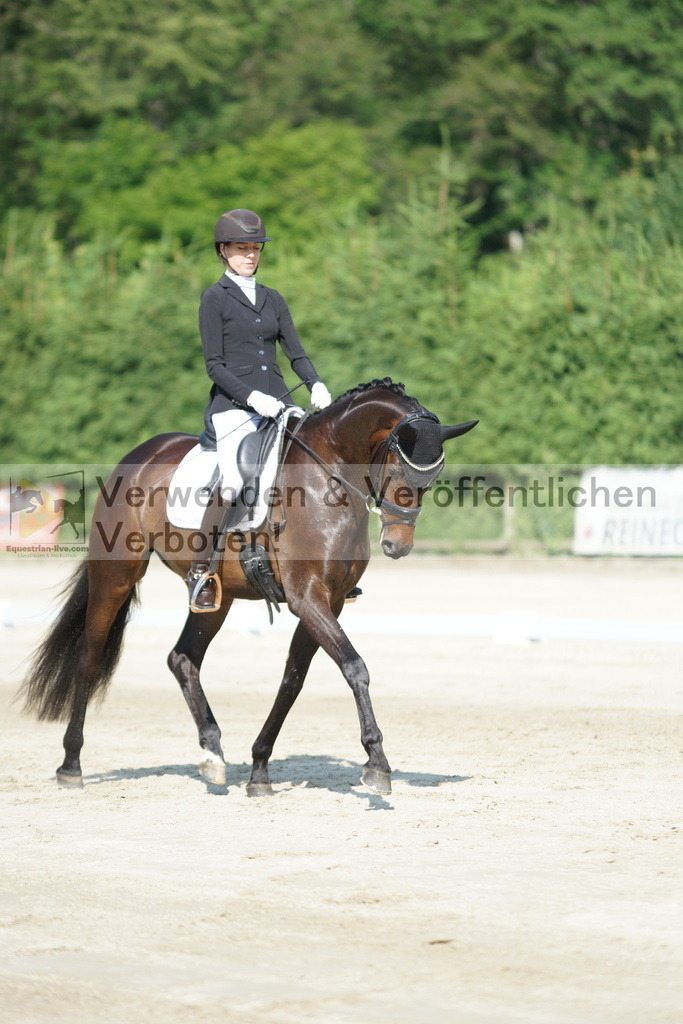 DSC01381 | equestrian-live-com