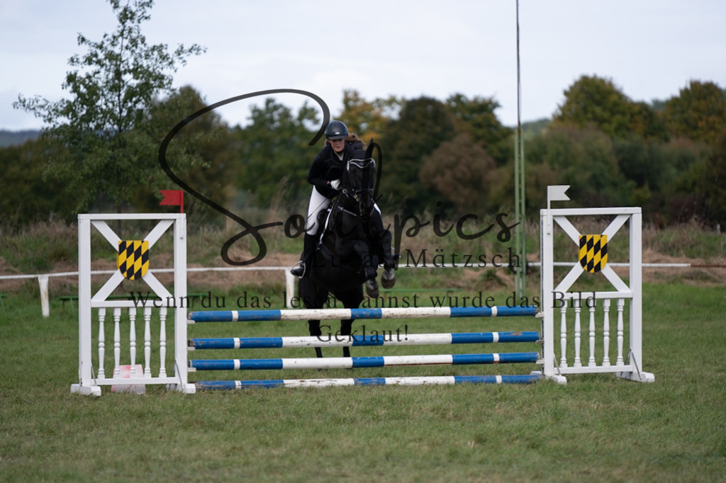 A7V06477 | Pferdefotograf