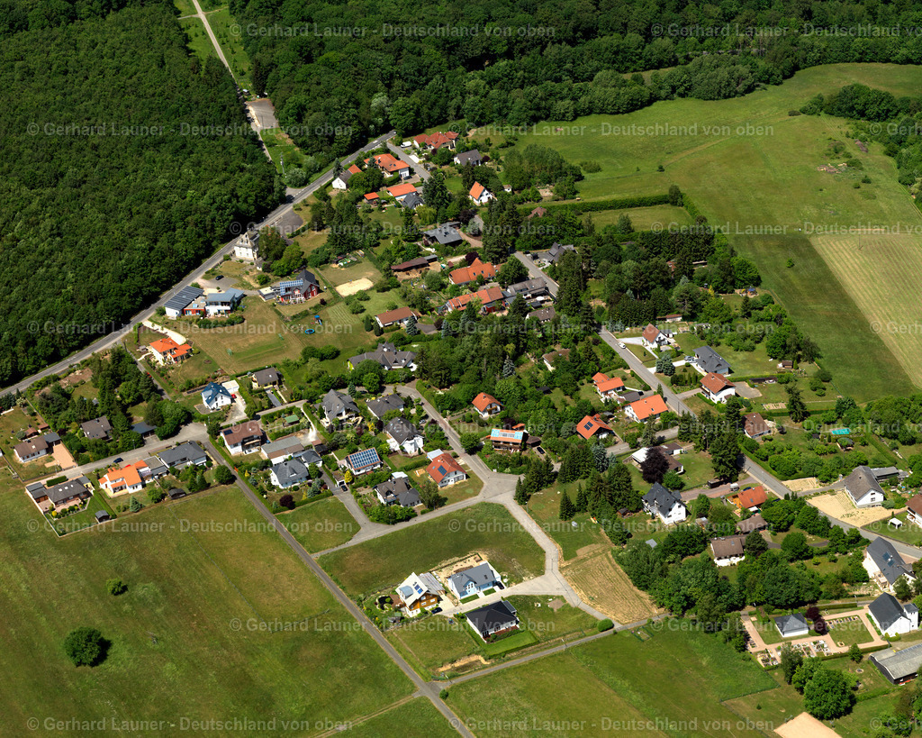 3108748 | Münchwald