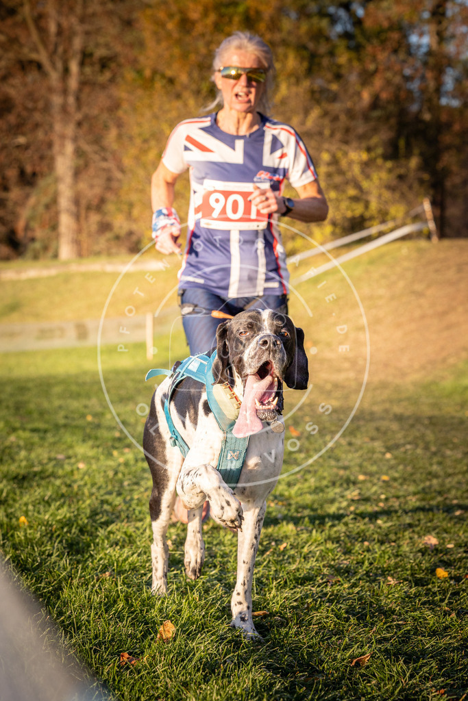 CaniXpix_0L8A1355 | Hundefotografie, Tierfotograf, Pfotenfotografie, Fotoshooting Hund, Hunde Portrait, Hundesport, Hundeportraits, Heideshooting, Hunde, Sportfotograf, Hundefotograf, Turnierhundsport, THS,  - Realisiert mit Pictrs.com