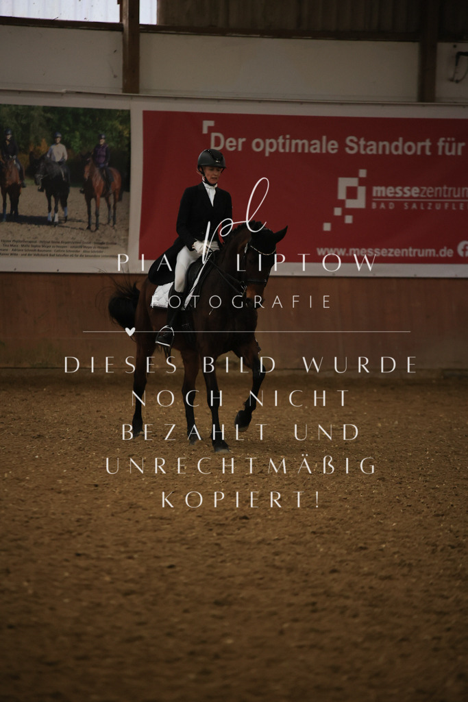 IMGT6206 | pl-fotografie