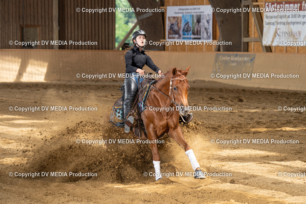 DSC00049 | dv-media-shop - Realisiert mit Pictrs.com