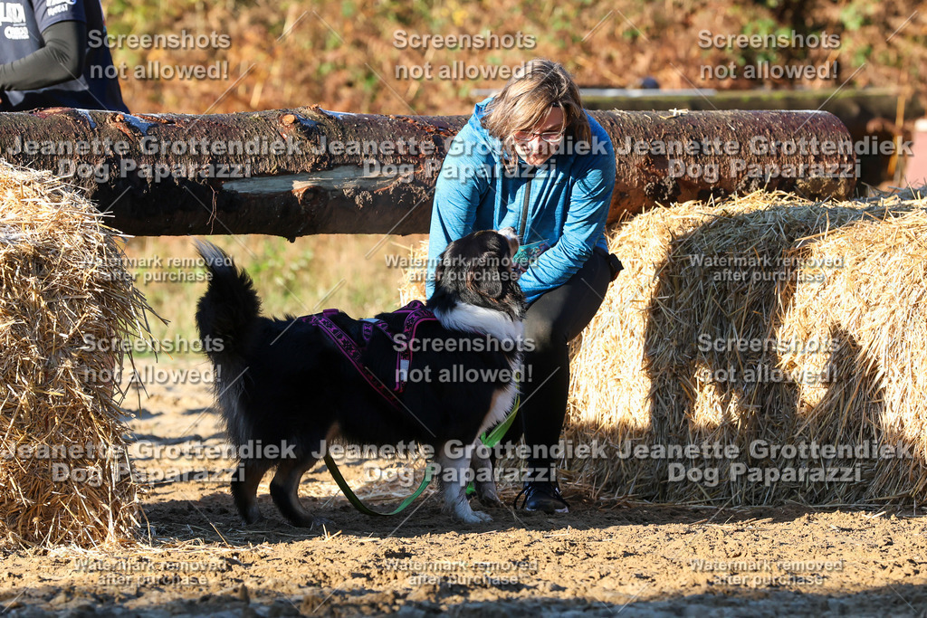 Dog Paparazzi - Strongdog 10-25-949 | Dog Paparazzi Jeanette Grottendiek Fotografie & Videografie - Realisiert mit Pictrs.com