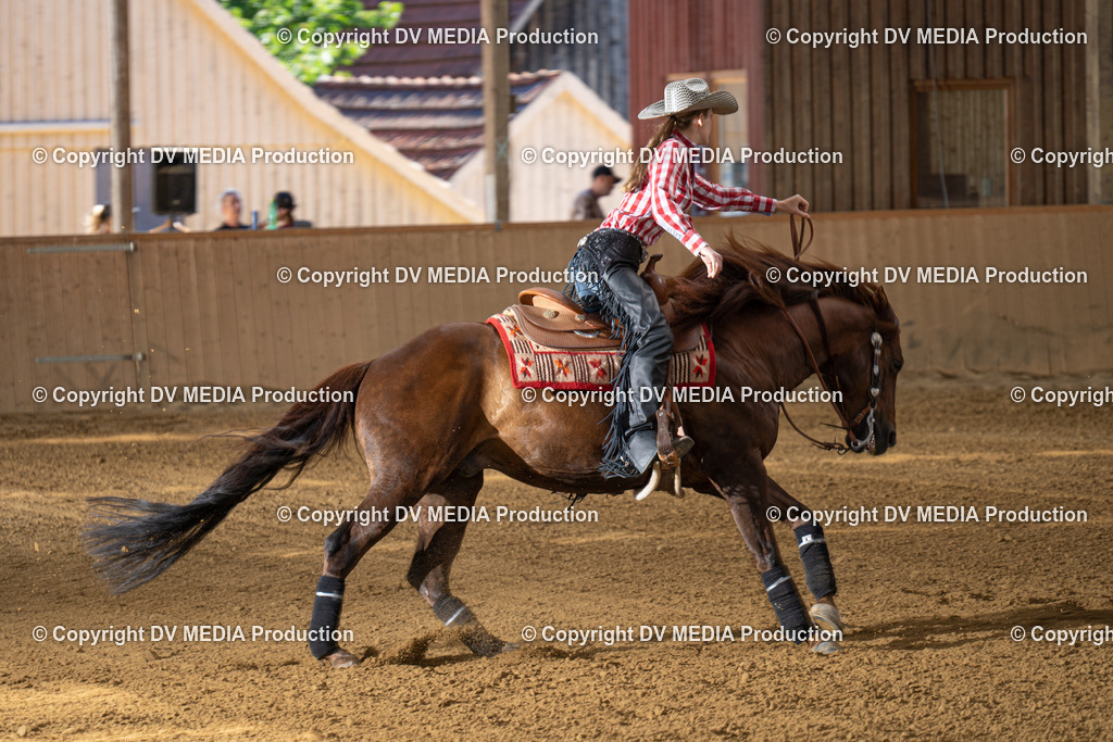 DSC00106 | dv-media-shop - Realisiert mit Pictrs.com