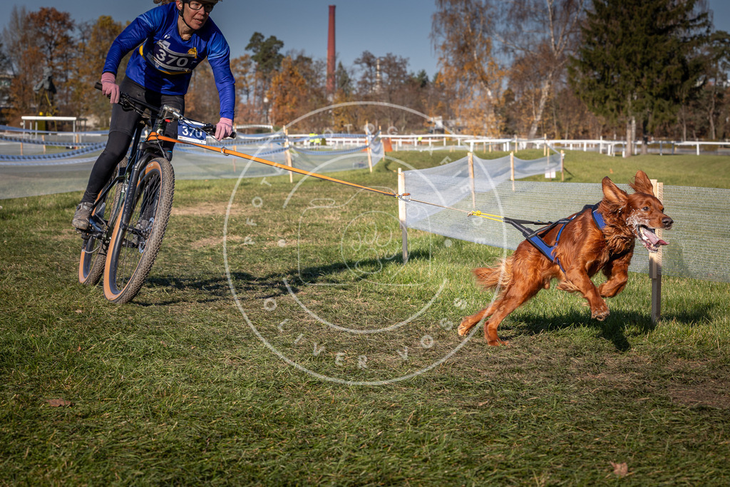 CaniXpix_0L8A6419 | Hundefotografie, Tierfotograf, Pfotenfotografie, Fotoshooting Hund, Hunde Portrait, Hundesport, Hundeportraits, Heideshooting, Hunde, Sportfotograf, Hundefotograf, Turnierhundsport, THS,  - Realisiert mit Pictrs.com