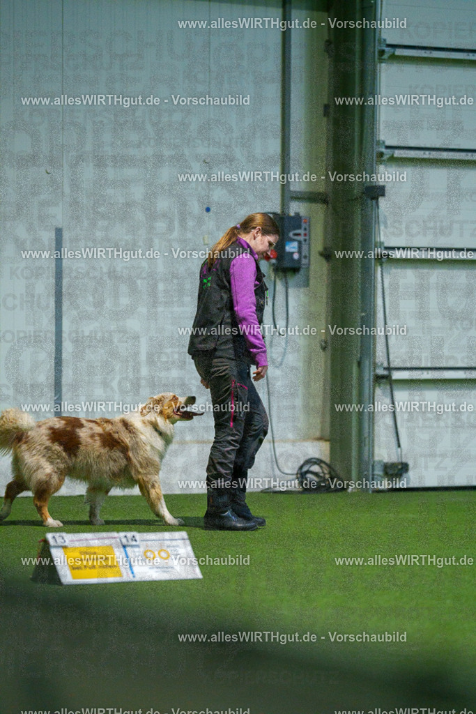 7R503945 | Professionelle Tierfotografie in Mönchengladbach von Daniel Wirth (allesWIRTHgut). Liebevolle & natürliche Bilder von Hunden & Katzen für unvergessliche Erinnerungen.