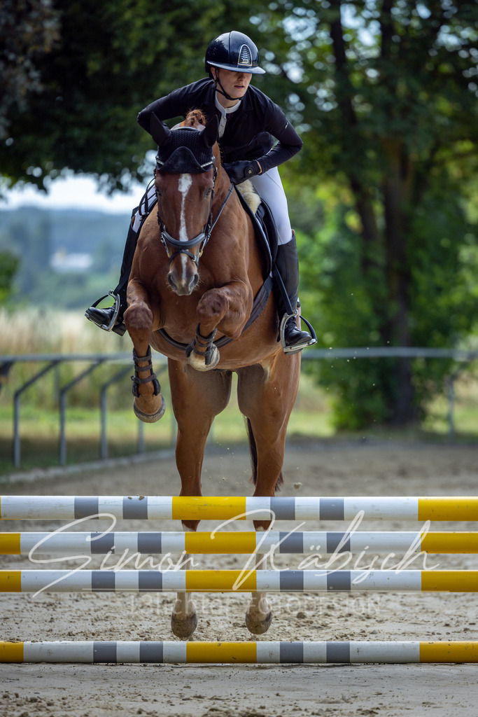 20260704-_3LI6967 | Tierfotografie Pferde, Hunde, Katzen, Haustiere.
Turnierfotografie Reitturniere, Reiten, Springreiten, Dressur in Hanau, dem Main-Kinzig-Kreis und dem Rhein-Main- Gebiet um Frankfurt