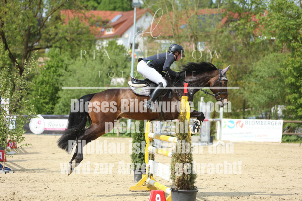 IMGM5746 | pl-fotografie