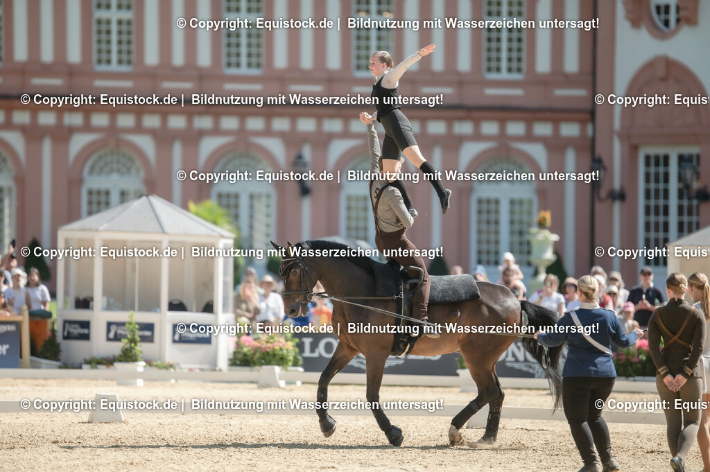 20230528_Voltigieren_NASPA_0614 | equistock