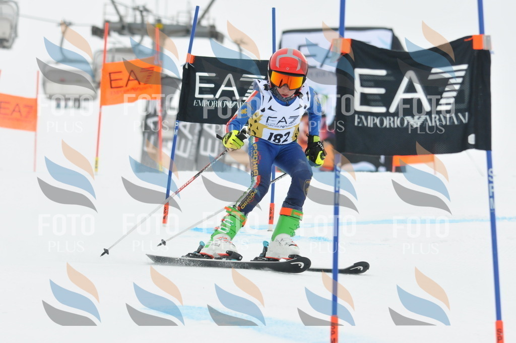 DSC_8678 | holidayphoto