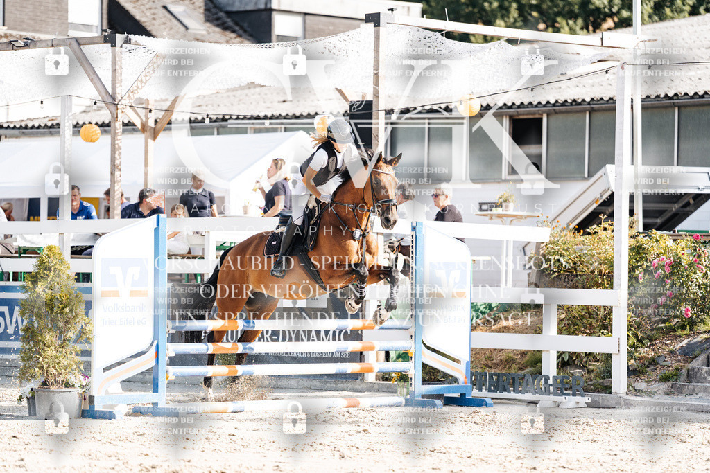 CK909495 | Turnierfotografie Pferdefotografie Trier Rheinland-Pfalz Pferdesport Reitsport Tierfotografie Sportfotografie Pferdevideo Pferdevideografie Equestrianvideography equestrianphotography  - Realisiert mit Pictrs.com