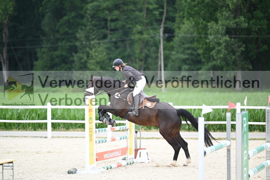DSC_4461 | equestrian-live-com