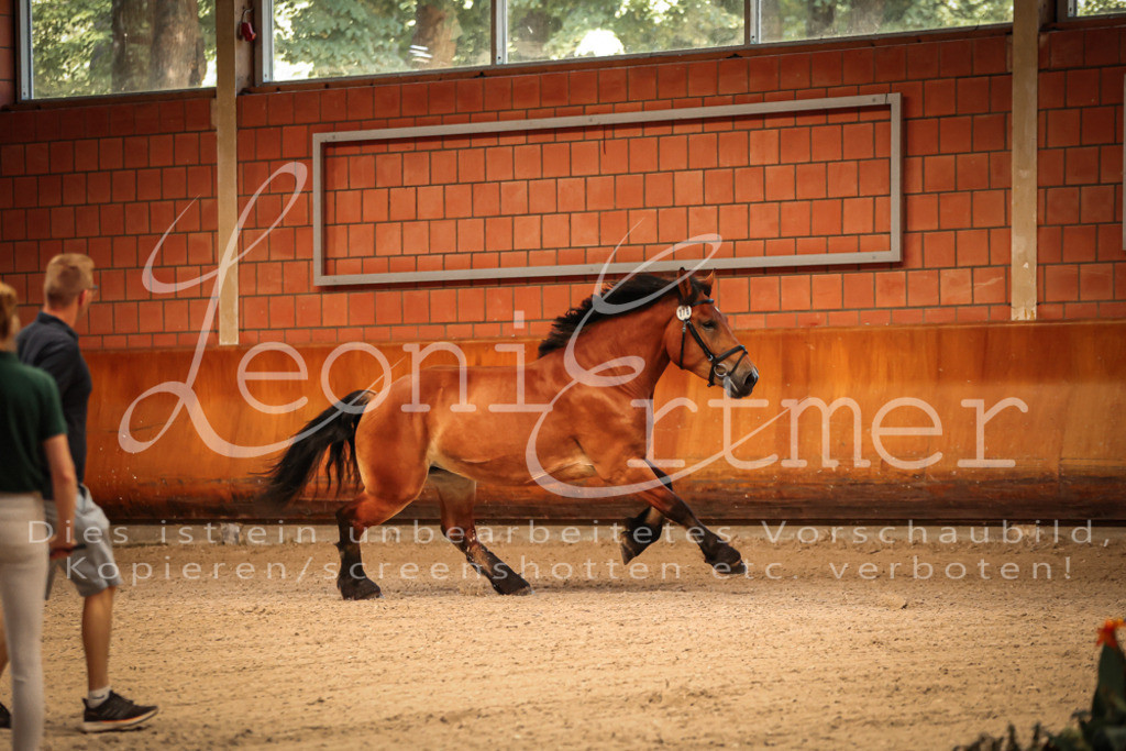SaFL00031 | Leoni Ertmer Photography - Realisiert mit Pictrs.com