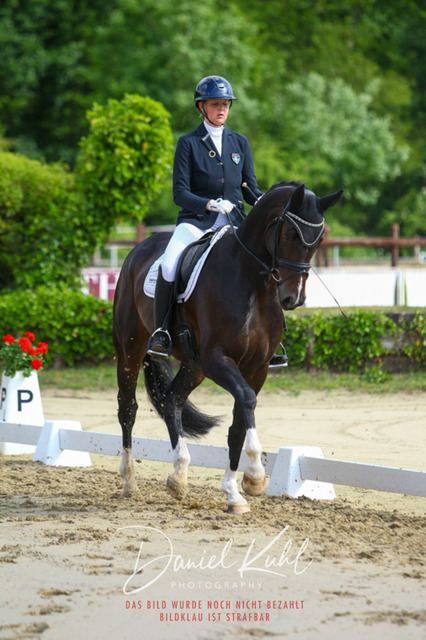 DKP45502 | Turniersportfotografie; Pferdefotografie; Dressurfotografie